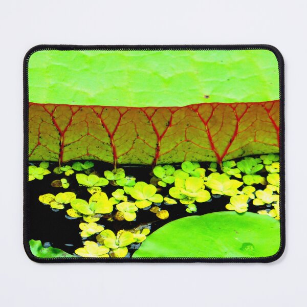Item preview, At the lily pond designed and sold by angel1.