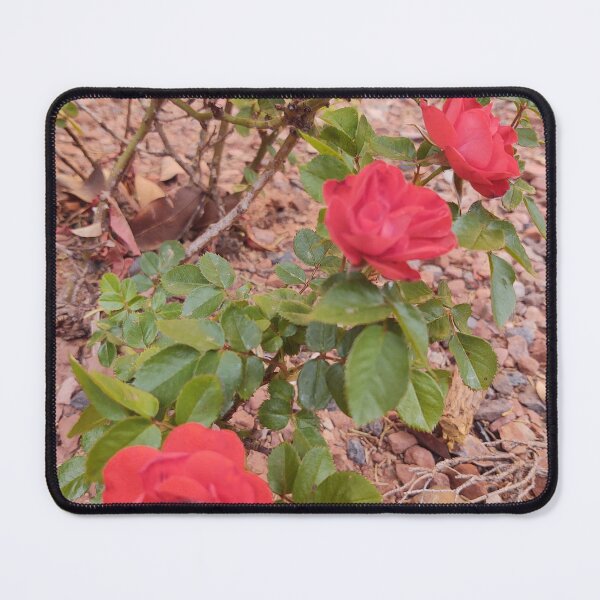 Item preview, red roses designed and sold by JessParkerPMP.