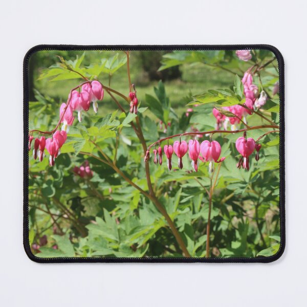 Item preview, Bleeding Hearts designed and sold by 1drousCreation.