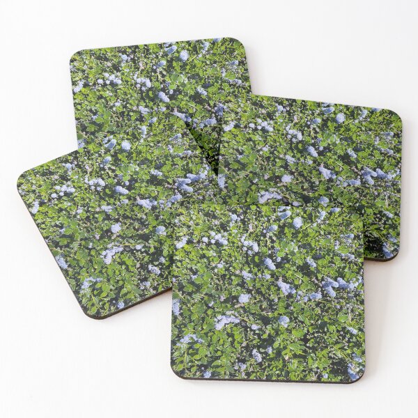 Item preview, California Lilac Bush designed and sold by JessParkerPMP.