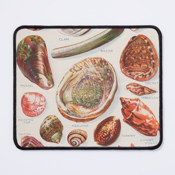 Item preview, Vintage Seashell Diagram Illustration (1924) Old Beach Shells Artwork designed and sold by BravuraMedia.
