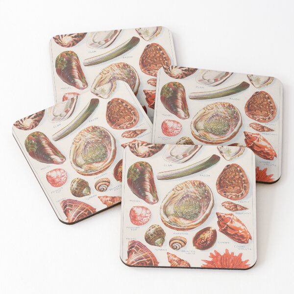 Item preview, Vintage Seashell Diagram Illustration (1924) Old Beach Shells Artwork designed and sold by BravuraMedia.