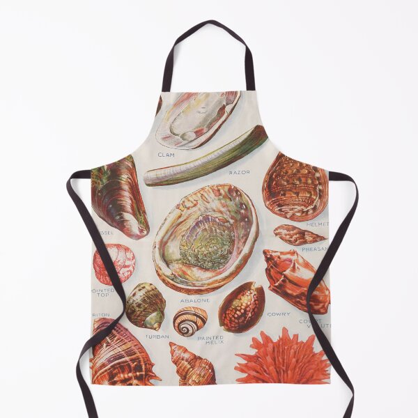 Item preview, Vintage Seashell Diagram Illustration (1924) Old Beach Shells Artwork designed and sold by BravuraMedia.