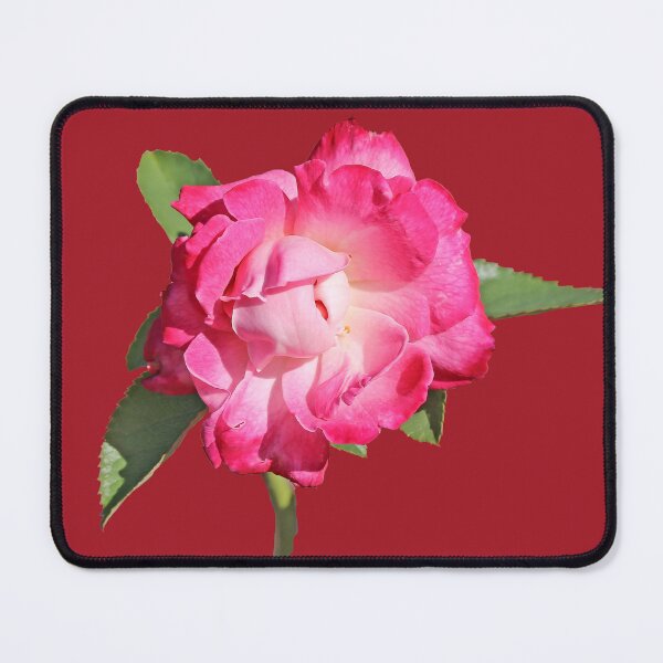 Item preview, Pink Rose designed and sold by STHogan2.