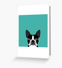 Boston Terrier head dog breed gifts cute pupper boston terriers must haves Greeting Card