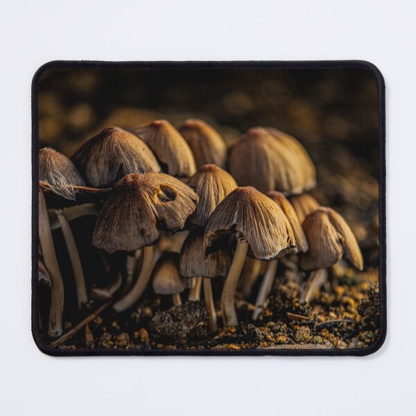 Item preview, Huddling Mushrooms designed and sold by Buckwhite.