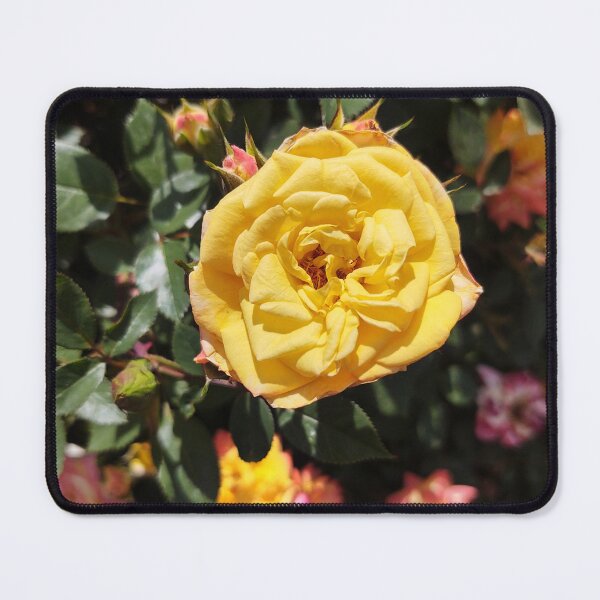 Item preview, Yellow Rose in Bush designed and sold by JessParkerPMP.