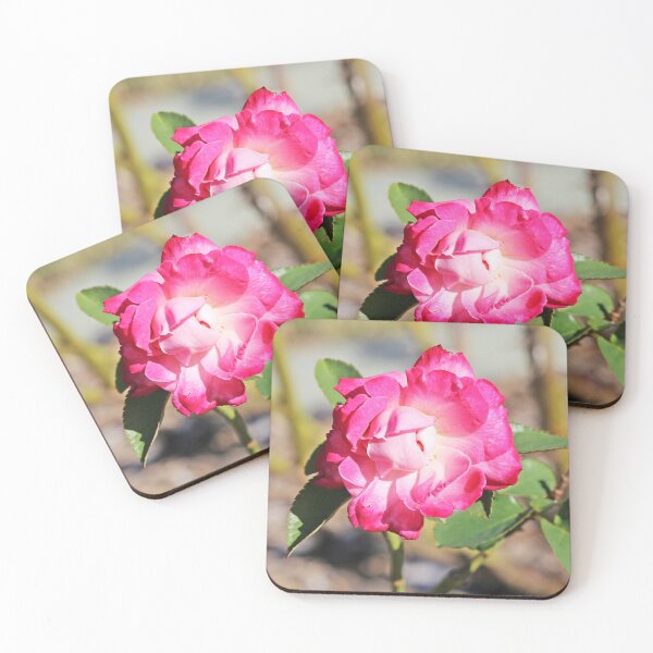 Item preview, Pink Rose designed and sold by STHogan2.