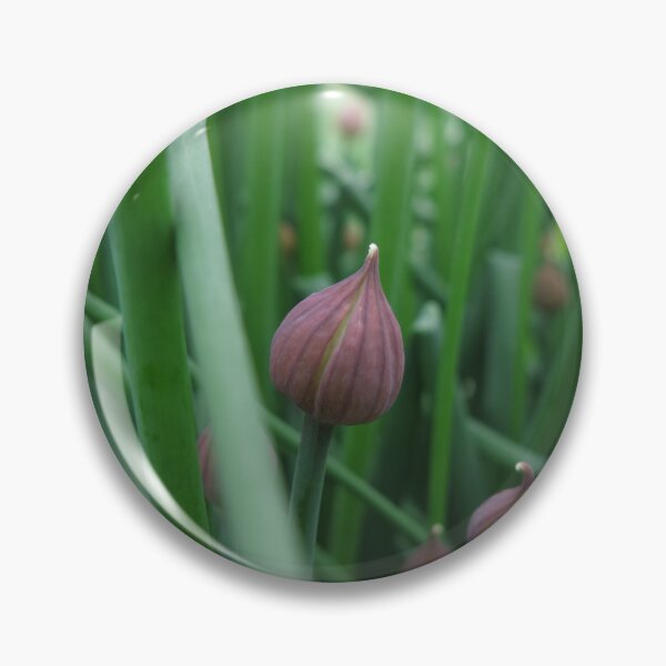 Item preview, Chive (v2) designed and sold by HollowArchivist.