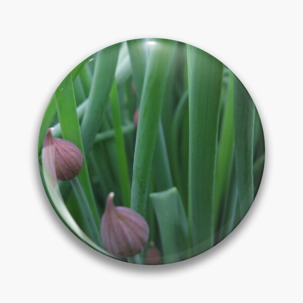 Item preview, Chive (v3) designed and sold by HollowArchivist.