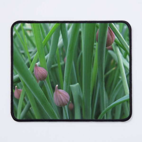 Item preview, Chive (v3) designed and sold by HollowArchivist.