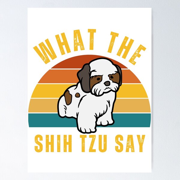 Grumpy best sale shih tzu