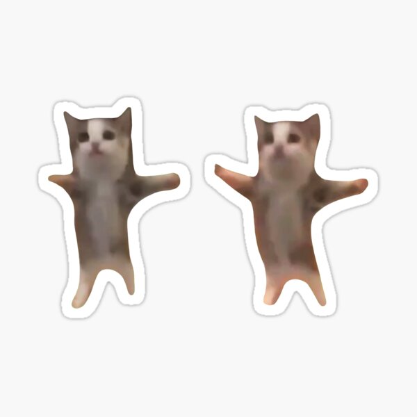 Funny Sticker Cat Decal Meme Foodie Cute Kawaii Stickers Happy Cat