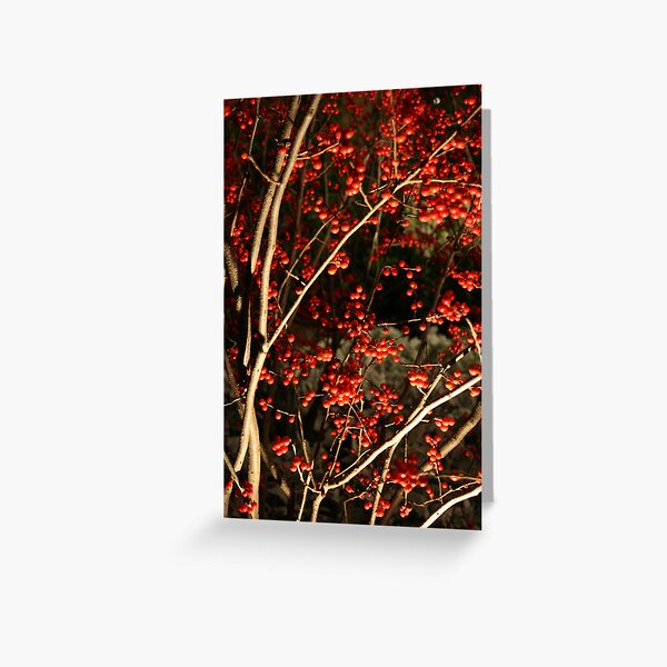 Berry Greeting Card
