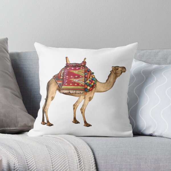 Saharan Taxi Throw Pillow