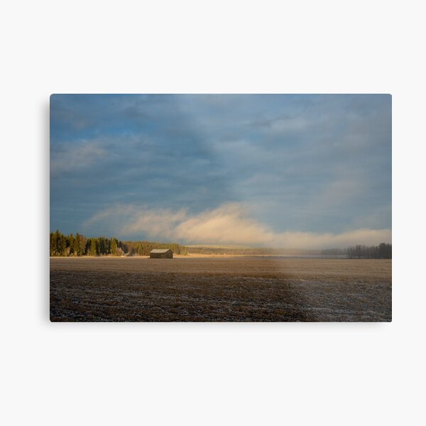 Haze Metal Print