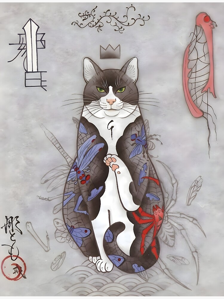 Gray 2024 japanese cat