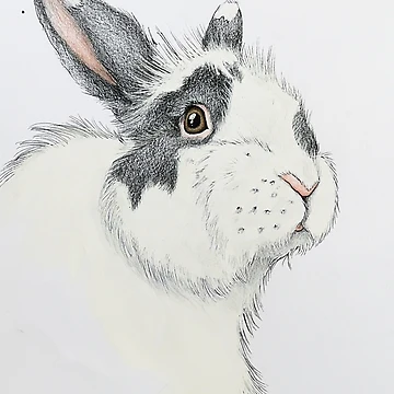 Vorschaubild zum Design Atticus von Laura Hillman