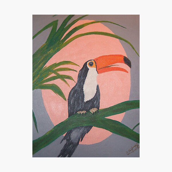 Toucan Photographic Print