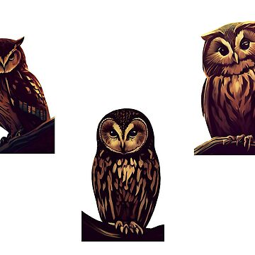 Artwork thumbnail, Parliment of Owls by kartedrop
