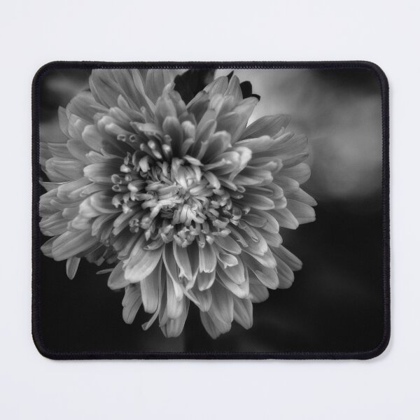 Item preview, Black and white flower art designed and sold by AliceWhiteDF.