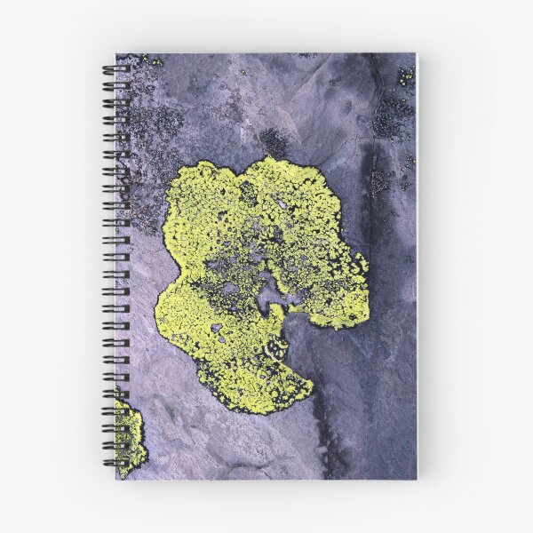Item preview, lichen designed and sold by KathleenDawson.