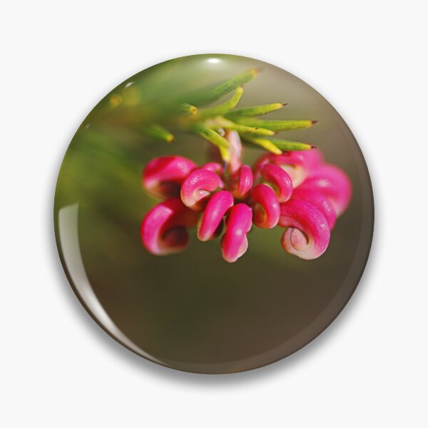 Item preview, Hot Pink Grevillea Flower Buds designed and sold by Joy Watson - Natural Light Photography .