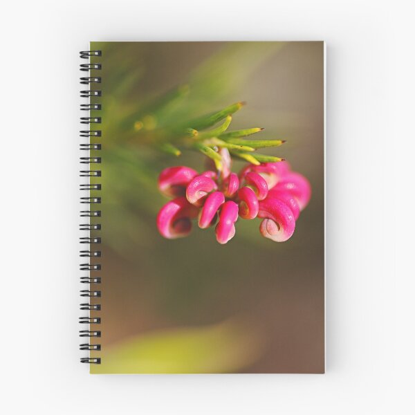 Item preview, Hot Pink Grevillea Flower Buds designed and sold by Joy Watson - Natural Light Photography .