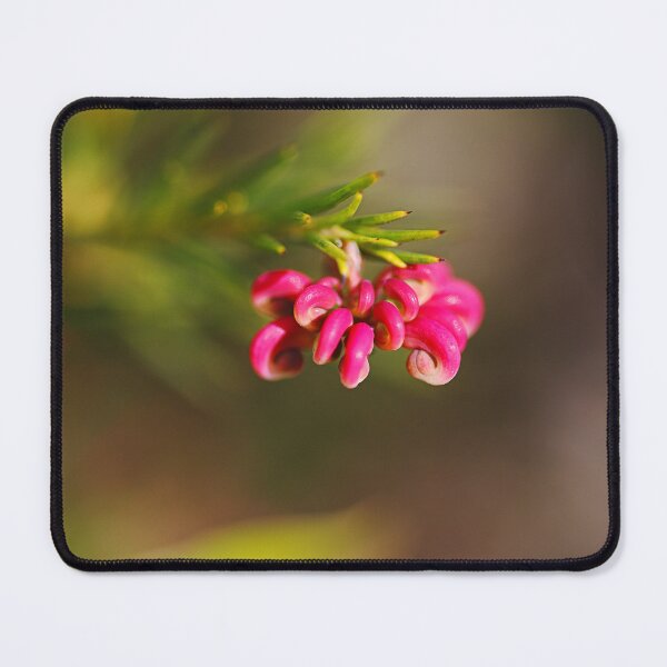 Item preview, Hot Pink Grevillea Flower Buds designed and sold by Joy Watson - Natural Light Photography .