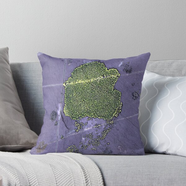 Aperçu de l'œuvre lichen créée et vendue par KathleenDawson.