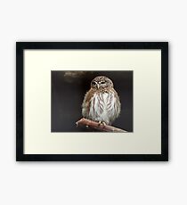 Fluffy Framed Print