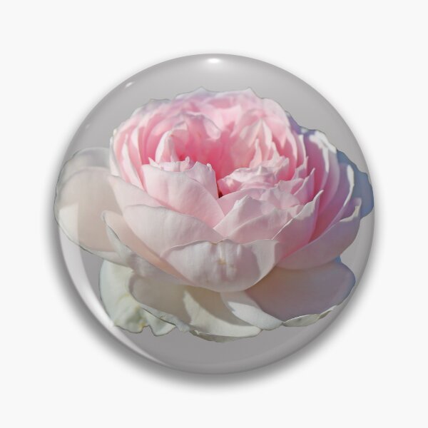 Item preview, Pale Pink Rose designed and sold by STHogan2.