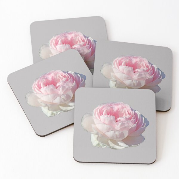 Item preview, Pale Pink Rose designed and sold by STHogan2.