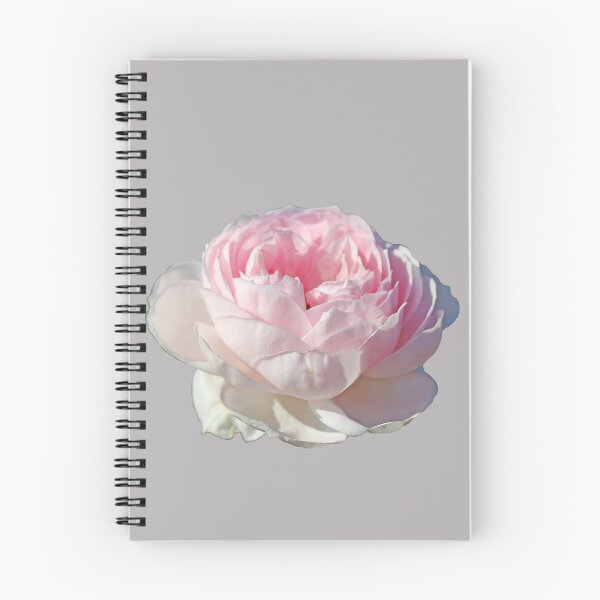 Item preview, Pale Pink Rose designed and sold by STHogan2.