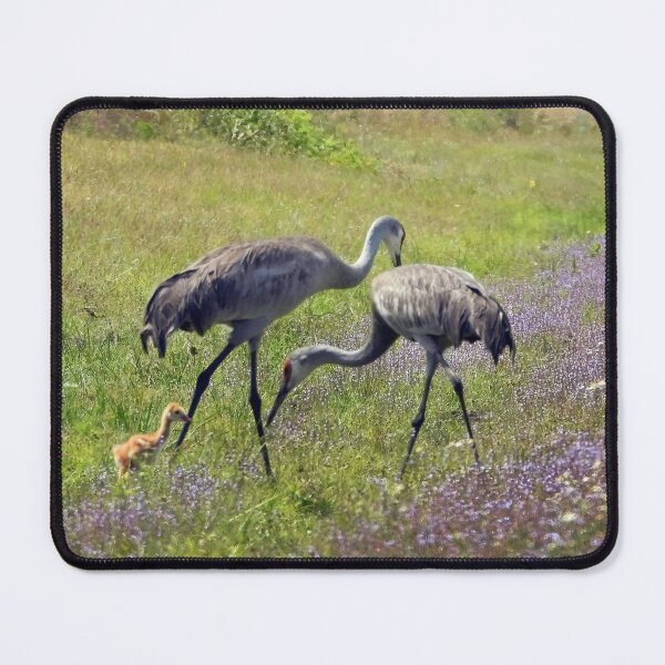 Item preview, Sandhill Cranes with Colt and purple wild flowers designed and sold by Jeffrey Mask.