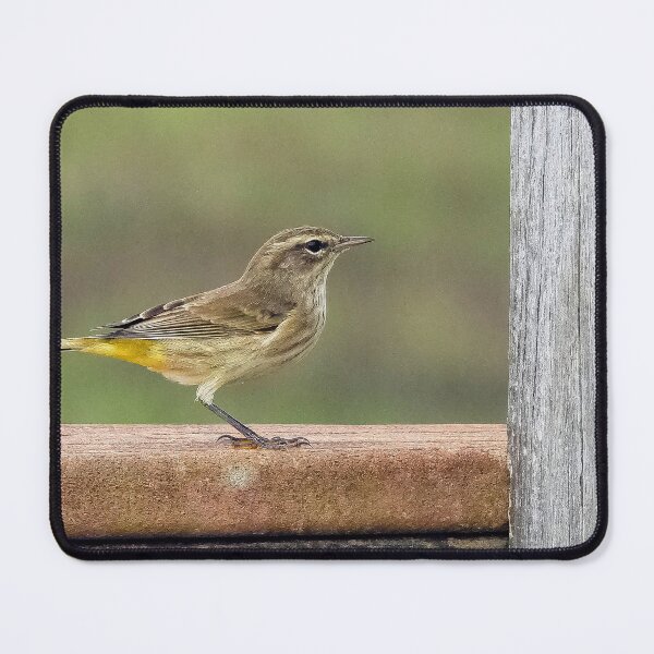 Item preview, Looking Left Palm Warbler designed and sold by Jeffrey Mask.