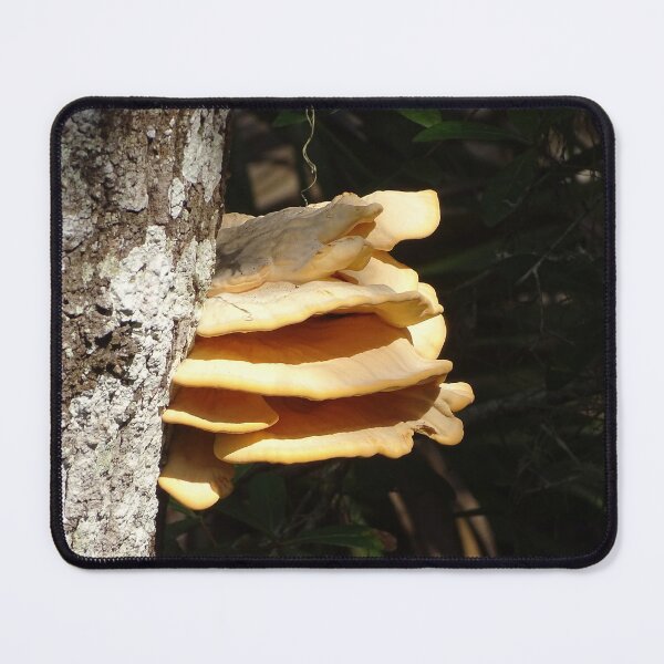 Item preview, Toadstools designed and sold by Jeffrey Mask.