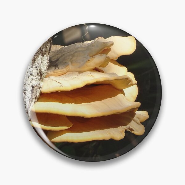 Item preview, Toadstools designed and sold by Jeffrey Mask.