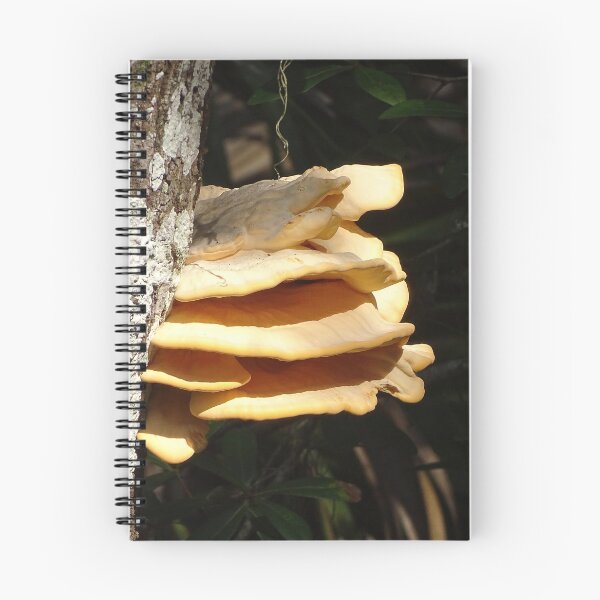 Item preview, Toadstools designed and sold by Jeffrey Mask.