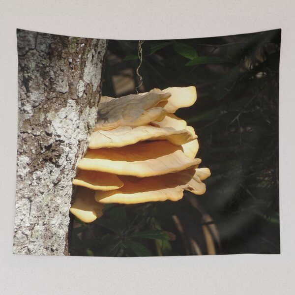 Item preview, Toadstools designed and sold by Jeffrey Mask.