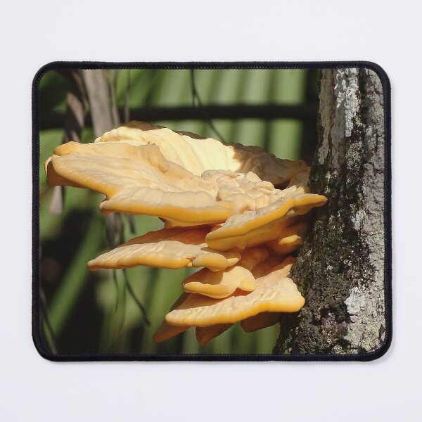 Item preview, Toadstool 3 designed and sold by Jeffrey Mask.