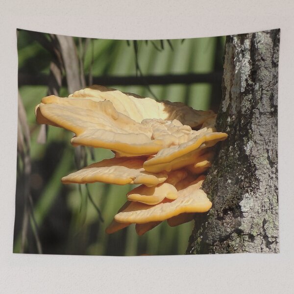 Item preview, Toadstool 3 designed and sold by Jeffrey Mask.