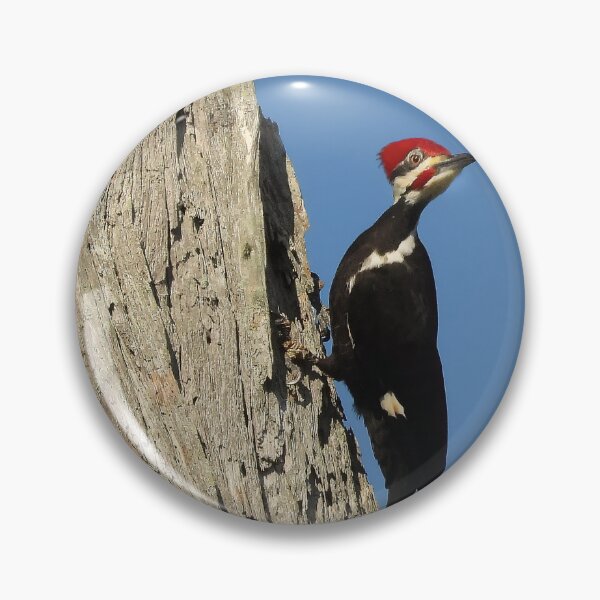 Item preview, Pileated Woodpecker 3 designed and sold by Jeffrey Mask.