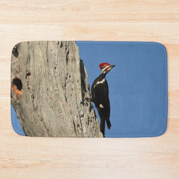 Item preview, Pileated Woodpecker 3 designed and sold by Jeffrey Mask.