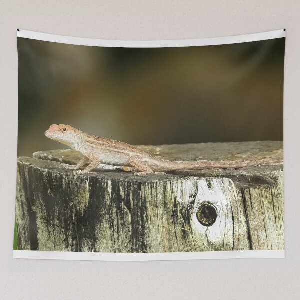 Item preview, Anole 3 designed and sold by Jeffrey Mask.