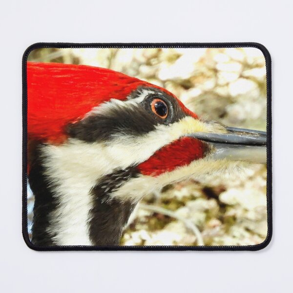 Item preview, Pileated Woodpecker 4 designed and sold by Jeffrey Mask.