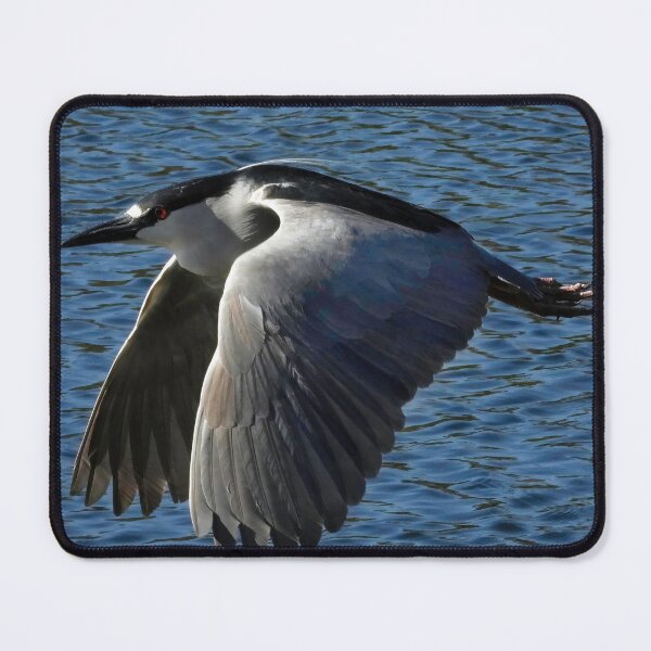 Item preview, Black Crown Night Heron 2 designed and sold by Jeffrey Mask.
