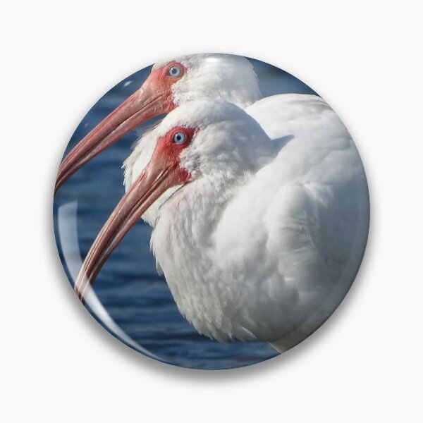 Item preview, White Ibis  1 designed and sold by Jeffrey Mask.