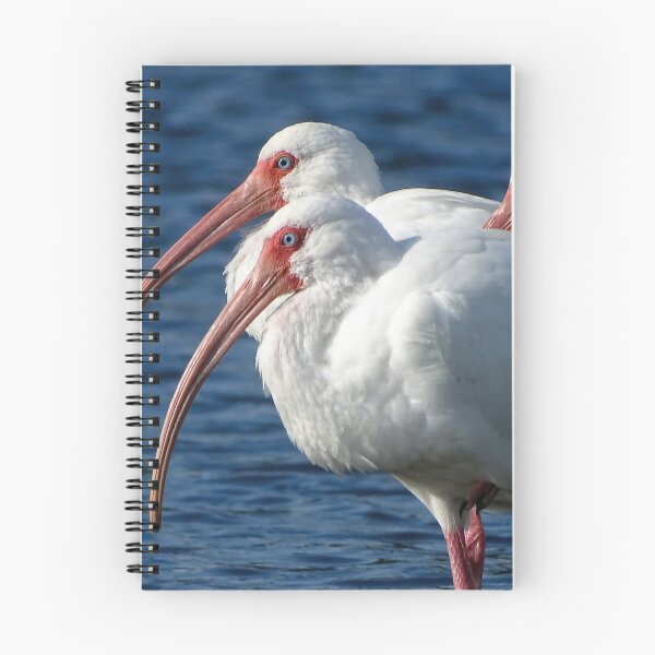 Item preview, White Ibis  1 designed and sold by Jeffrey Mask.