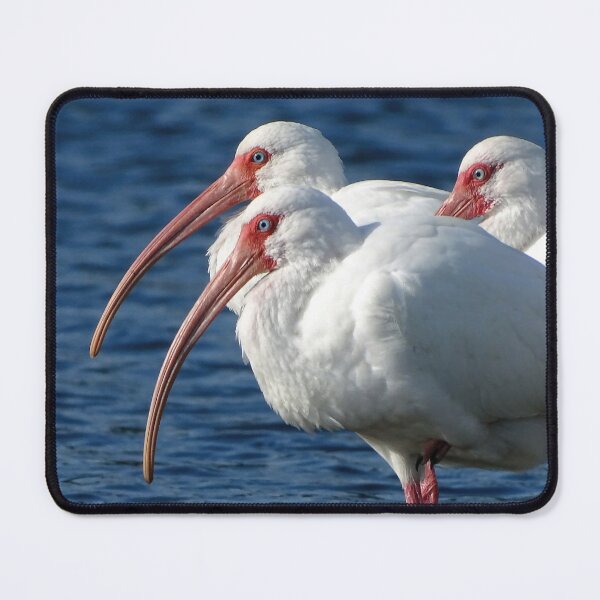 Item preview, White Ibis 1 designed and sold by Jeffrey Mask.